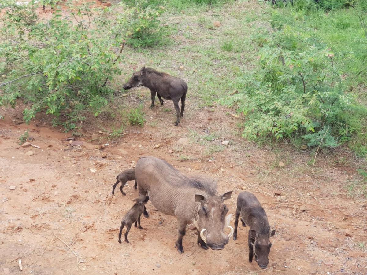 636 Itaga Safari Lodge, Mabalingwe Nature Reserve Mabula Game Reserve Eksteriør billede