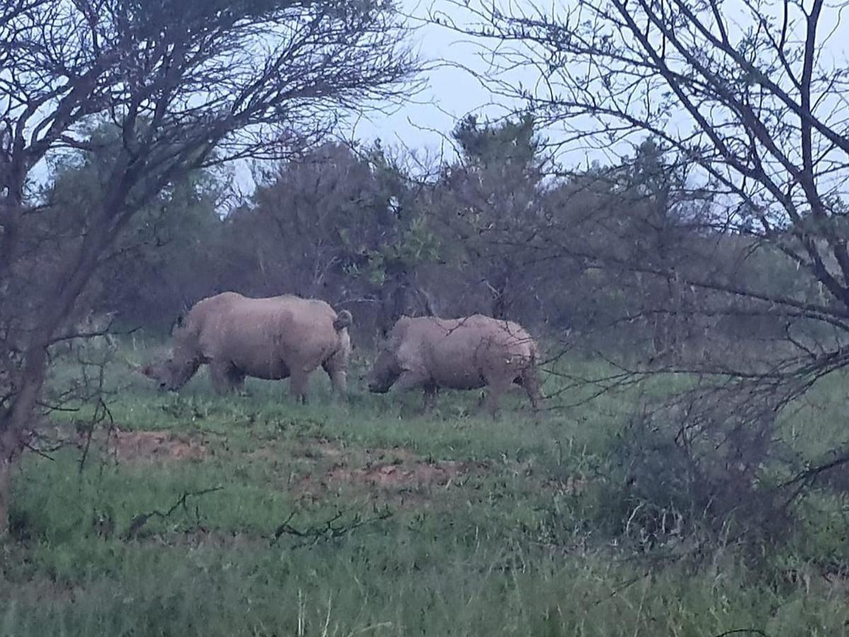 636 Itaga Safari Lodge, Mabalingwe Nature Reserve Mabula Game Reserve Eksteriør billede